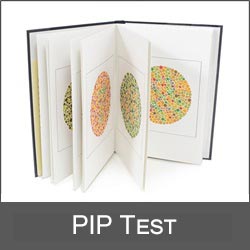 Logo-PIP test